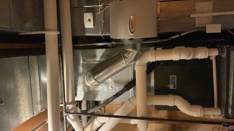 Completed annual heating maintenance on two furnaces and two humidifiers in basement area. Systems appear to be in normal working condition with no visible damage or leaks observed. Inspected PVC venting system and verified proper plumbing connections throughout the installation.
