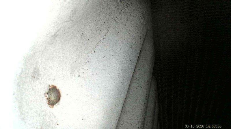 # Service Report: No Heat Call

Responded to no heat service call for 12-year-old carrier furnace reported to be blowing cold air. Upon arrival, found customer utilizing multiple portable electric space heaters throughout residence due to lack of central heating. Conducted diagnostic inspection of heating system including visual examination of furnace components and ductwork. Observed evidence of potential condensate or moisture issues on supply ductwork as indicated by rust-colored staining on insulated piping. System age and condition suggest underlying mechanical or ignition failure preventing proper heat delivery. Documented equipment condition and temporary heating measures in place with photographic evidence for service records.