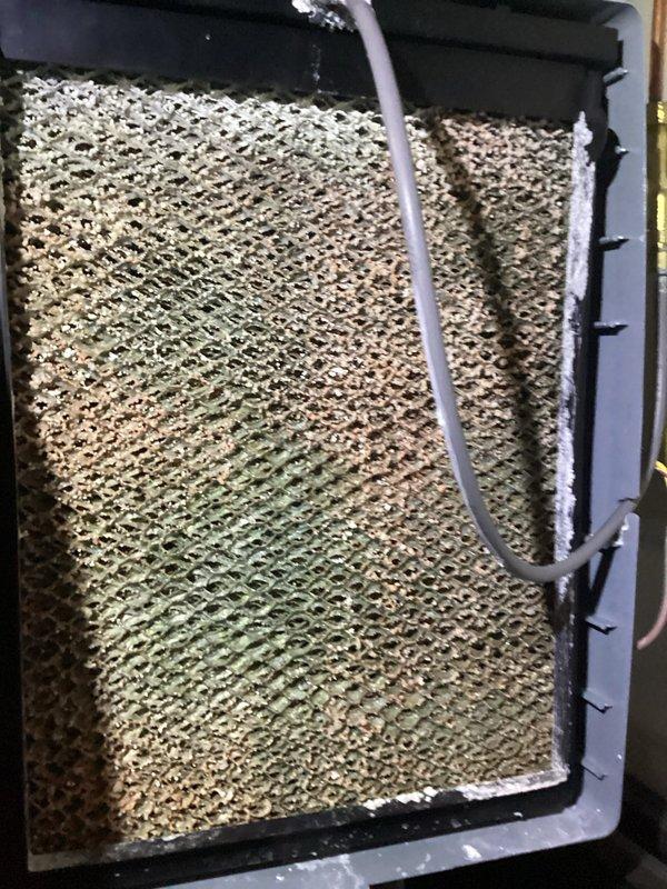 Completed annual heating maintenance on EnergiAir furnace system with warranty through 08-2031. Discovered heavily contaminated evaporator coil with significant dust, debris, and biological growth accumulation obstructing airflow. Cleaned coil thoroughly and replaced flame sensor components showing oxidation and wear. System tested and returned to proper operation with improved airflow efficiency.