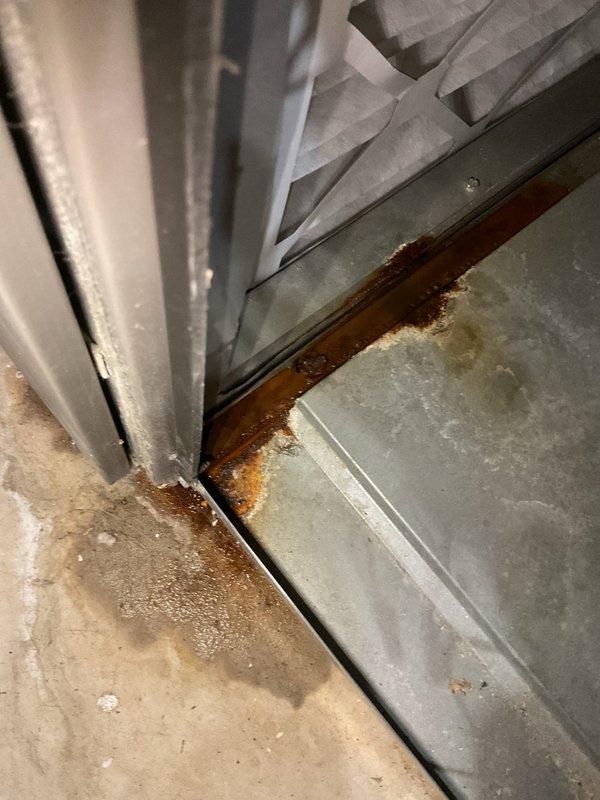 Completed annual heating tune-up on furnace system with no humidifier present. During inspection, identified significant rust and corrosion on mounting hardware and lower cabinet panels where unit meets floor, indicating moisture exposure. Documented all findings with photographs for customer records.