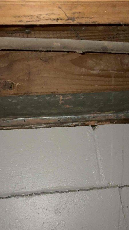 Provided estimate for direct vent water heater replacement in basement utility area. Assessed existing Bradford White water heater installation, copper plumbing connections, and PVC venting configuration to determine proper equipment specifications and installation requirements for direct vent system.