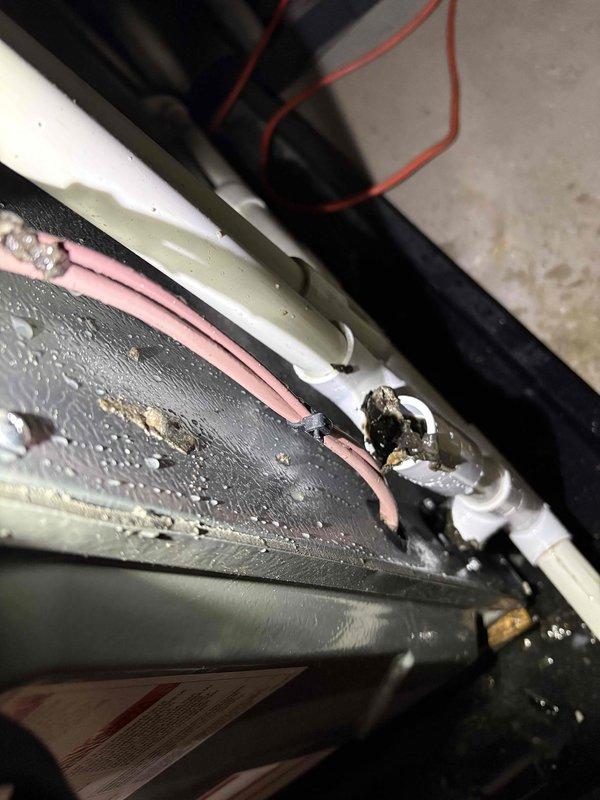 Completed annual heating maintenance on EnergiAir furnace system installed in 2023. Performed comprehensive tune-up including inspection of evaporator coil with protective mesh guard, which showed no signs of damage or deterioration. Observed condensation present on air handler cabinet surfaces, documented equipment condition with photos, and verified all accessible components for proper operation heading into heating season.