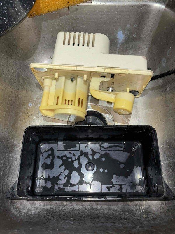 Completed annual heating maintenance on furnace system with humidifier. Performed standard tune-up procedures including filter replacement as requested. Removed, disassembled, and cleaned condensate pump due to significant sediment accumulation and contaminated water in collection reservoir. Pump housing and internal components showed age-related discoloration and required thorough cleaning to restore proper drainage function. Reassembled system, verified operation, and returned all components to service.