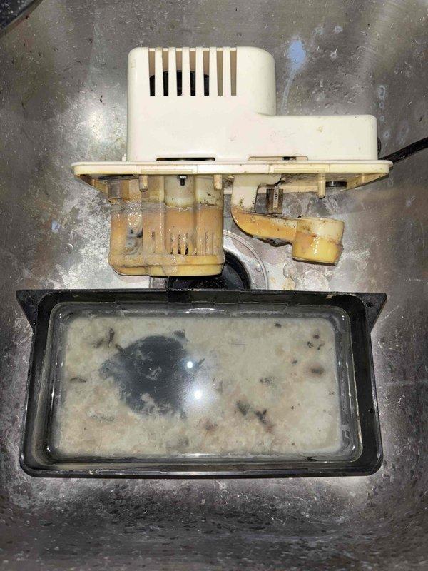 Completed annual heating maintenance on furnace system with humidifier. Performed standard tune-up procedures including filter replacement as requested. Removed, disassembled, and cleaned condensate pump due to significant sediment accumulation and contaminated water in collection reservoir. Pump housing and internal components showed age-related discoloration and required thorough cleaning to restore proper drainage function. Reassembled system, verified operation, and returned all components to service.