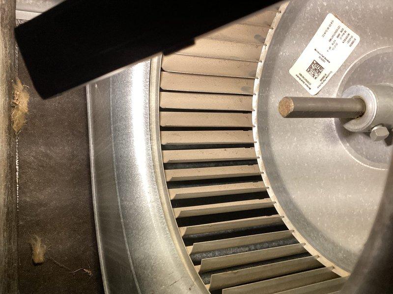 Completed annual heating maintenance on 12-year-old furnace system. Removed and inspected burner assemblies, finding surface oxidation on burner faces consistent with age and normal operation. Cleaned burners and blower motor assembly, verified proper operation of all components. System tested and returned to service with no humidity system present per customer preference.