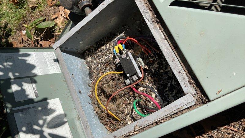 Completed annual heating and cooling maintenance on 29-year-old Ruud system and 4-year-old unit with warranty extending to February 2032. Upon inspection of outdoor equipment enclosure, discovered significant accumulation of leaves, plant debris, and organic material throughout electrical compartment and around wiring connections and contactor assembly. Cleaned debris from enclosure interior, electrical components, and terminal connections to prevent potential electrical failures and ensure proper system operation. Performed standard tune-up procedures on both air conditioning and furnace systems, including inspection of all electrical connections, testing of safety controls, and verification of proper system operation.