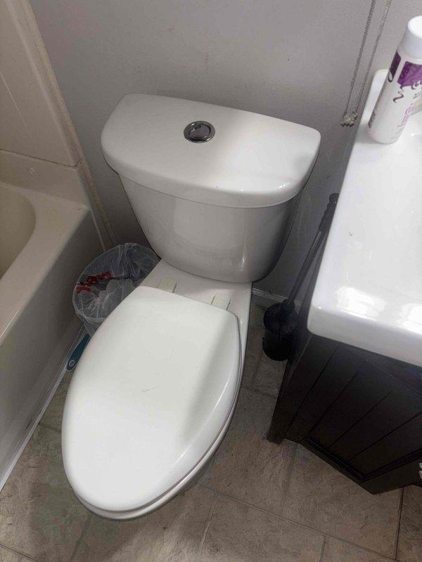 Completed full replacement of main drain stack system from basement level through roof penetration using PVC piping. Installed new vanity drain branch line routing through bottom of vanity cabinet, and replaced existing shower and toilet branch lines with PVC to modernize the drainage system and ensure proper code compliance.