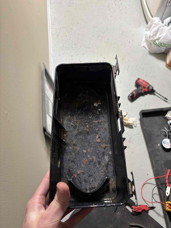 Completed annual heating maintenance on EnergiAir furnace system under 3-year warranty agreement. Performed comprehensive tune-up inspection and cleaning procedures. Removed and cleaned heavily soiled drain pan and condensate housing components that had accumulated significant debris and grime buildup. Inspected internal system components, verified proper operation of all mechanical and electrical systems, and documented equipment condition with photographic records. System restored to proper operating condition with no humidifier present on unit.