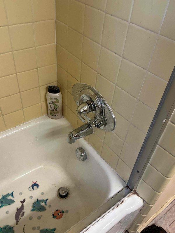 Replaced existing shower valve with new single-handle unit and converted the bathtub drain assembly from tubular fittings to hard pipe configuration for improved durability and code compliance. Work included accessing plumbing through attic space, installing new valve trim at tub/shower fixture, and reconfiguring drain P-trap with PVC hard pipe connections.