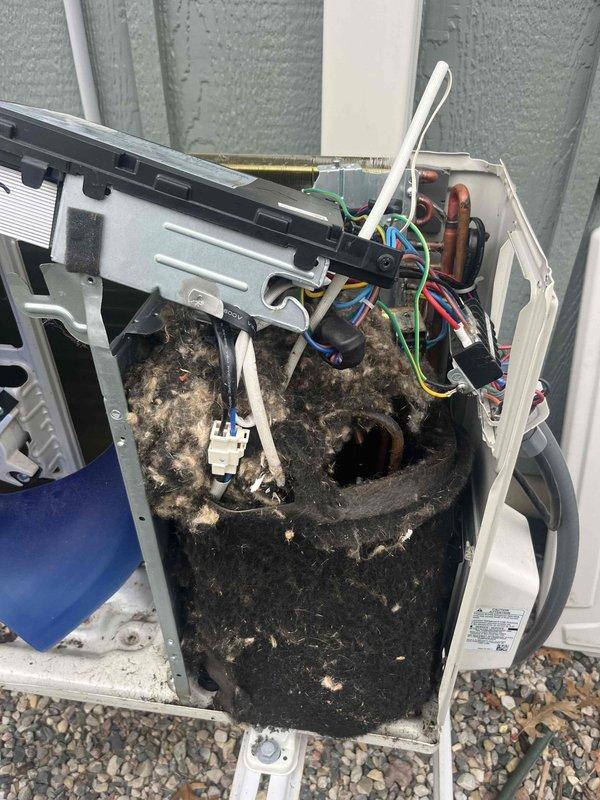 Responded to service call for 3-year-old Carrier mini-split system with reported AC malfunction during scheduled maintenance tune-up. Upon inspection, discovered extensive accumulation of dirt, dust, lint, and organic debris throughout lower interior compartment of outdoor unit, severely restricting airflow and impacting system performance. Removed and cleaned debris from unit housing, electrical components, and surrounding areas. Inspected control board, wiring connections, contactors, and refrigerant lines for damage or deterioration caused by contamination. Verified all electrical connections secure and functioning properly. Cleaned condenser coil and internal components to restore proper heat exchange capabilities. Tested system operation and confirmed AC functionality restored. Discussed humidity control settings and proper system operation with client as requested for optimal comfort management.