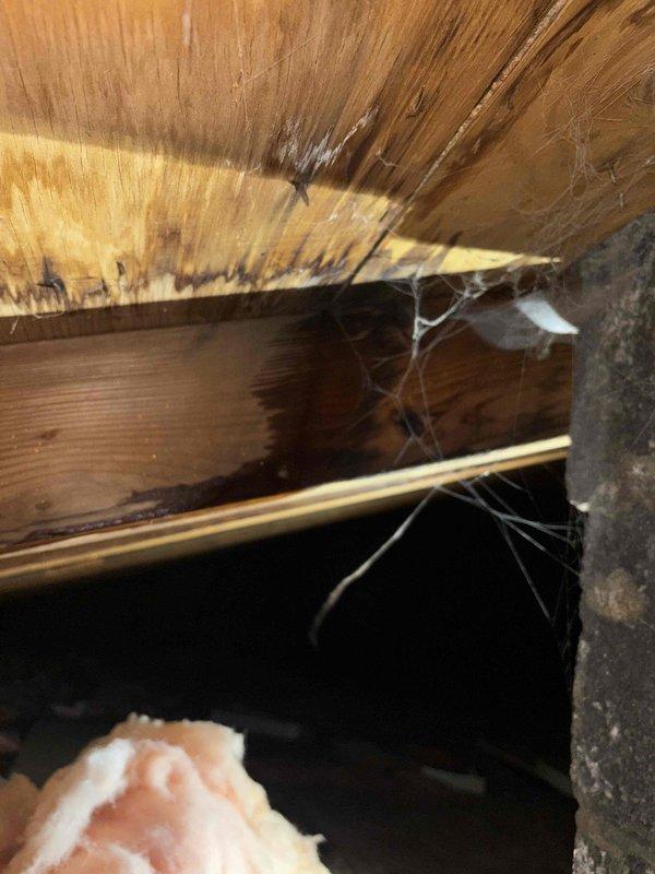 Responded to plumbing leak complaint in remodeled bathroom following recent rain storm. Investigated attic/crawl space above affected area and documented conditions with photos, revealing water staining patterns on wooden structural members and joists consistent with moisture intrusion. Leak was dripping through wall cavity directly onto electrical outlet box, creating potential safety hazard. Inspection focused on main drain stack area where previous plumbing work had been completed, identifying this as probable source of water entry during precipitation events.