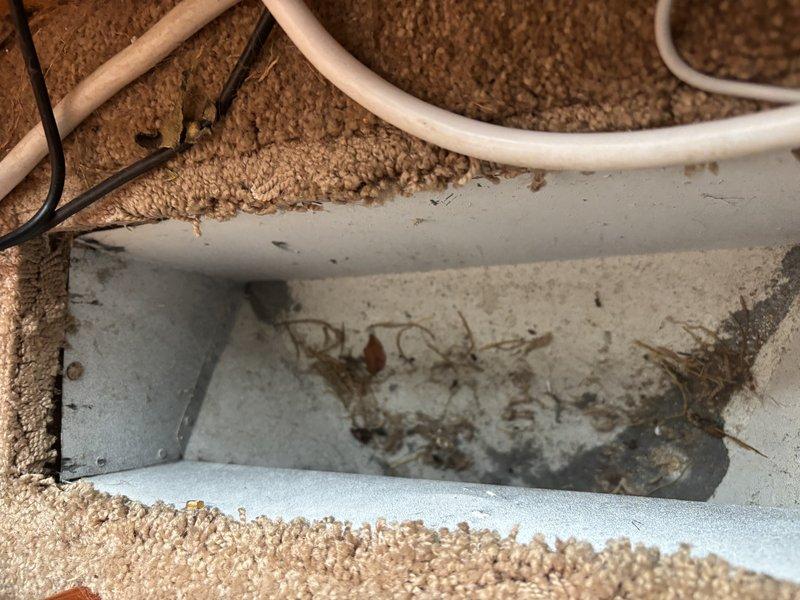 Responded to service call for unidentified noise coming from 6-year-old Lennox furnace. Upon arrival, reviewed customer-provided video of the noise to assist with diagnosis. Conducted thorough inspection of furnace system and air distribution components. Discovered significant debris accumulation consisting of dried plant matter, twigs, and organic material lodged in exterior vent opening. Interior floor register also showed dust buildup. Removed all debris from exterior duct opening and cleaned affected areas. Inspected furnace blower assembly, motor bearings, and belt for mechanical issues that could contribute to noise. Verified proper airflow through system after clearing obstructions. Cycled furnace through multiple heating cycles to confirm noise was eliminated. System operating normally with no abnormal sounds detected upon completion. Advised customer to monitor for any recurring issues.