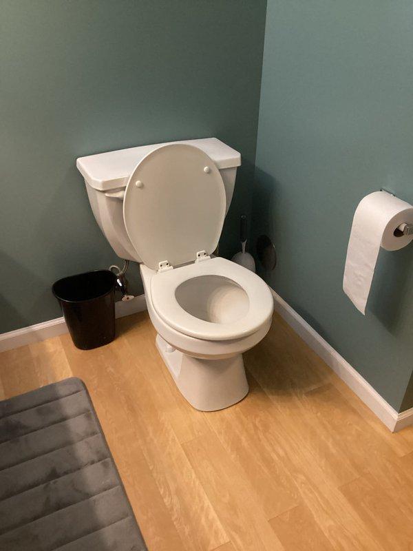Completed toilet installation in downstairs bathroom. Installed standard two-piece white porcelain toilet with chrome flush lever, properly secured to floor flange, and verified all connections for proper operation and leak-free performance.