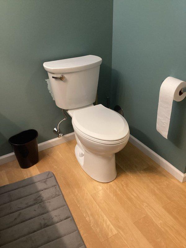 Completed toilet installation in downstairs bathroom. Installed standard two-piece white porcelain toilet with chrome flush lever, properly secured to floor flange, and verified all connections for proper operation and leak-free performance.