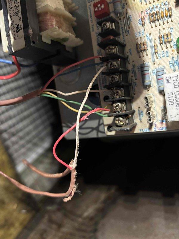 # Furnace No Heat - Blower Fan Failure

Responded to no heat call on 14-year-old Comfort-Aire furnace with blower fan not operating. Upon arrival, confirmed furnace was calling for heat but blower motor failed to engage. Removed access panel and performed visual inspection of internal components and control board.

Identified degraded fiberglass insulation with moisture staining in blower compartment, indicating potential condensate drainage issues or humidity exposure over time. Inspected control board wiring and terminal connections - found multiple wire terminations with exposed copper conductors and loose connections at terminal blocks. 

Traced blower motor circuit from control board through wire harness. Tested voltage at blower motor terminals and confirmed no power delivery to motor during heat call. Verified control board outputs and relay operation. Determined control board relay failure preventing blower motor energization.

Discussed repair options with customer. Customer a