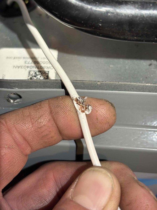 Completed annual heating maintenance on Fraser-Johnston furnace installed in 2018. During inspection, discovered damaged wiring with exposed copper conductors and compromised insulation on the Daikin HVAC unit's electrical system. Documented wire damage with photos showing corrosion at the exposure point and captured internal component layout including refrigerant lines, wire harness routing, and mounting hardware for service records.