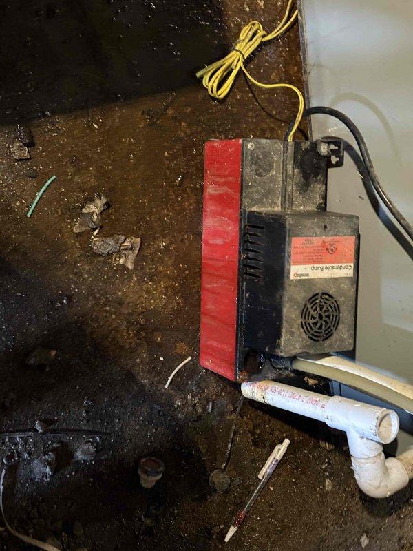 Completed annual cooling maintenance on 8-year-old air conditioning system. Performed comprehensive tune-up including inspection of blower motor assembly, electrical connections, and condensate drainage system. All components found operating within normal parameters, motor wiring secure, and unit ready for cooling season.