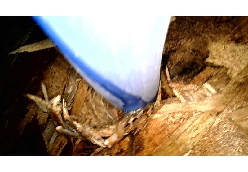 Responded to water leak investigation with customer reporting slow leak of unknown origin. Customer had shut down entire HVAC system as precautionary measure. Accessed attic crawl space and inspected area around water heater and surrounding plumbing components. Visually examined exposed piping, connections, and structural elements for signs of active leaking or water damage. Documented findings with photos showing water heater installation and attic space conditions. Added club membership with furnace and air conditioning tune-up benefits for ongoing system maintenance.