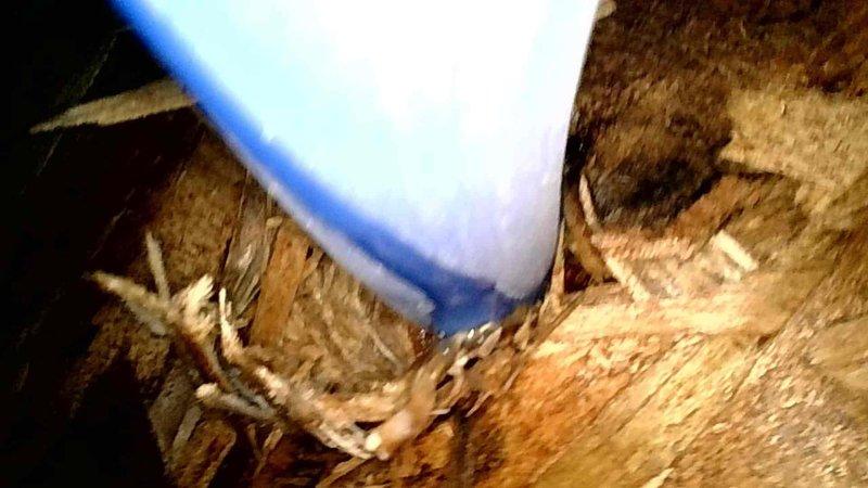 Responded to water leak investigation with customer reporting slow leak of unknown origin. Customer had shut down entire HVAC system as precautionary measure. Accessed attic crawl space and inspected area around water heater and surrounding plumbing components. Visually examined exposed piping, connections, and structural elements for signs of active leaking or water damage. Documented findings with photos showing water heater installation and attic space conditions. Added club membership with furnace and air conditioning tune-up benefits for ongoing system maintenance.