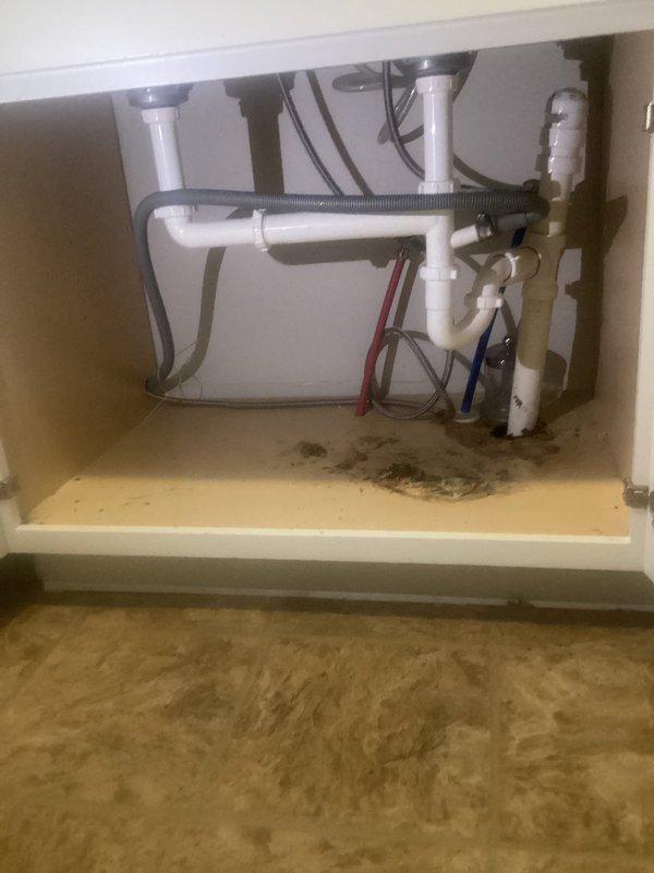 Responded to kitchen plumbing leak issue involving recurring leaks from plastic drain fixtures beneath the sink. Upon inspection, found evidence of water damage and staining on cabinet floor beneath PVC P-trap assembly and drain connections. The existing white PVC drain system and black plastic P-trap showed signs of improper installation or deteriorated seals contributing to the leak problem. Assessed all connections including the dishwasher drain line (gray corrugated hose), supply lines with braided metal flex connections, and shut-off valves. Documented the plumbing configuration and leak damage with photos showing the affected areas and current fixture conditions. Kitchen setup confirmed to have dishwasher connection but no garbage disposal unit present. Identified that the plastic fixtures require replacement or proper reinstallation with new seals to resolve the recurring leak issue and prevent further water damage to cabinetry.