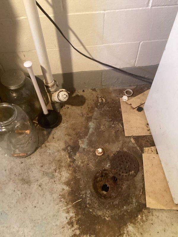 Responded to a clogged kitchen sink drain that connects to a basement floor drain. The blockage was caused by an accumulation of drywall dust, sawdust, and grease following a recent kitchen remodel. Successfully snaked the drain line to clear the obstruction and restore proper drainage flow from the kitchen sink through the basement drainage system.