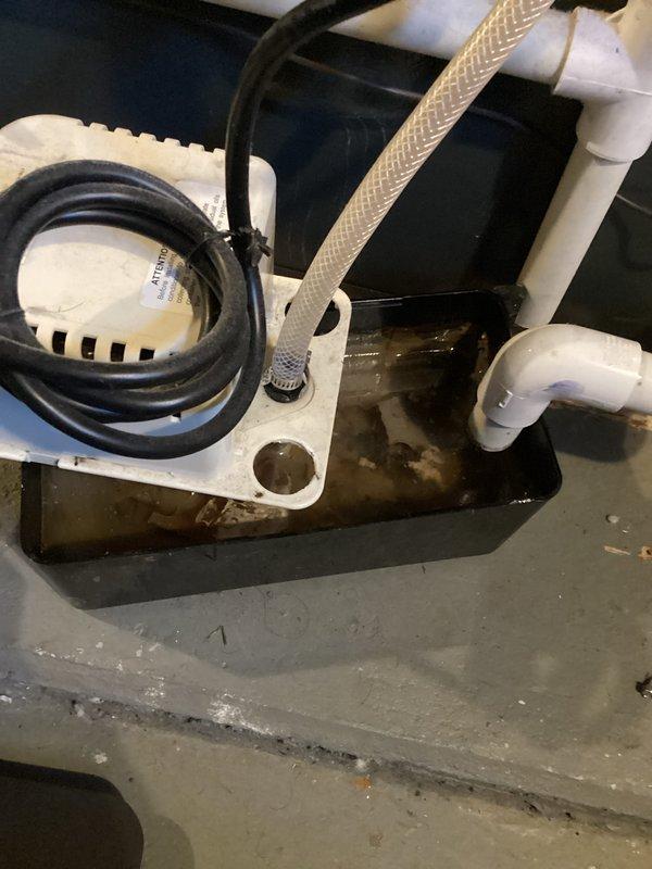 Completed annual cooling system tune-up on EnergiAir unit under 5-year warranty coverage. Inspected condensate drainage system including pump assembly, drain pan, and associated plumbing connections; noted brownish water accumulation in pan indicating normal condensate flow with possible minor sediment buildup. All components photographed and documented for warranty maintenance records.