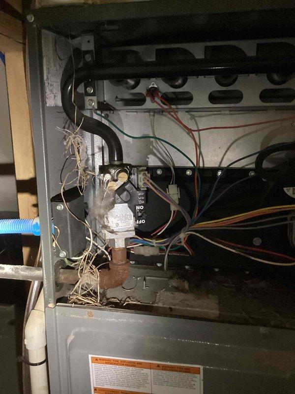# Heating System Maintenance and Cleaning

Responded to service call for an 11-year-old Daikin furnace experiencing short cycling behavior—unit would run through cycles but subsequently shut down. Upon inspection, discovered significant accumulation of dust, lint, and fibrous debris throughout the interior components and around electrical connections and wiring harnesses. The contamination included clusters of material hanging from wiring and substantial buildup around control board area, which was causing airflow restriction and potential safety sensor activation leading to premature shutdown.

Performed thorough cleaning of furnace interior, removing all accumulated debris from around electrical components, control board, and wiring connections. Extracted large quantities of lint, dust, and organic material that had infiltrated the unit over years of operation. Cleaned blower compartment and verified all electrical connections were secure and free from contamination. Inspected heat e