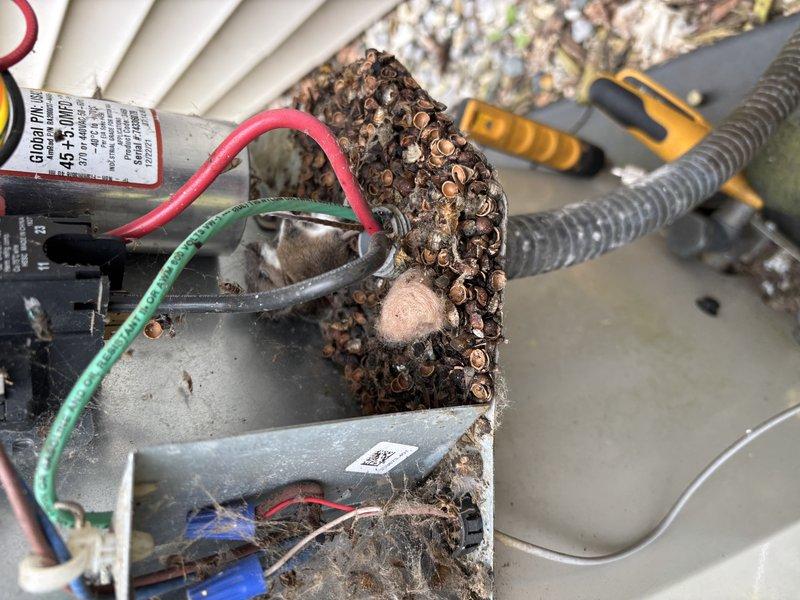 Completed ASTU-AC Super Tune-up on 7-year-old Payne air conditioning system. Upon inspection, discovered extensive wasp nest contamination within the outdoor condensing unit, with nest material built up around contactor, wiring, and capacitor components. Removed large wasp nest and debris from electrical compartment to restore proper airflow and prevent potential electrical failures. Cleaned junction box area showing rust staining and dirt accumulation. Verified all electrical connections were secure following nest removal. Tested capacitor operation and confirmed proper voltage readings. Inspected conduit connections and wiring integrity. System returned to normal operating condition with all safety hazards eliminated and tune-up procedures completed per manufacturer specifications.