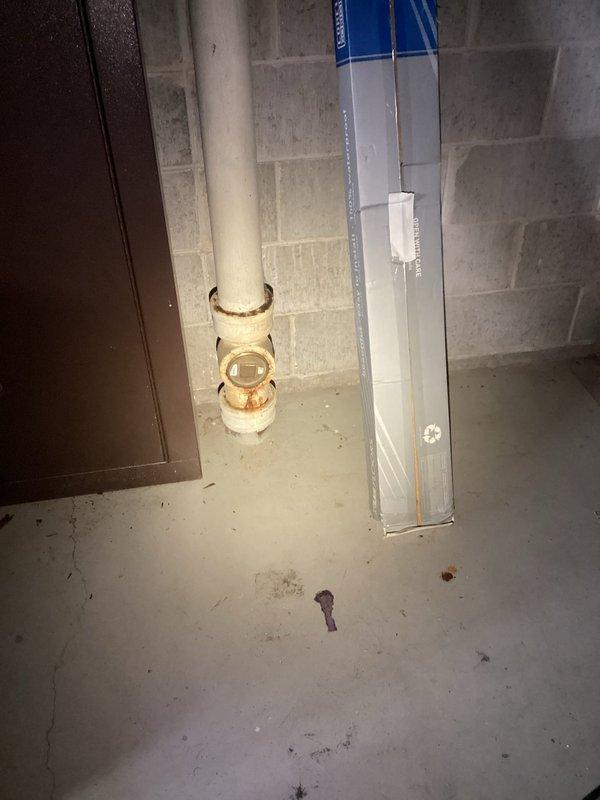 Conducted plumbing project estimate for basement drainage system with defective pipe containing a belly within the concrete floor. Documented existing conditions including deteriorated concrete flooring with significant staining and exposed PVC drainage piping showing discoloration around joints and trap assembly, indicating potential drainage issues requiring repair or replacement of compromised underground piping.