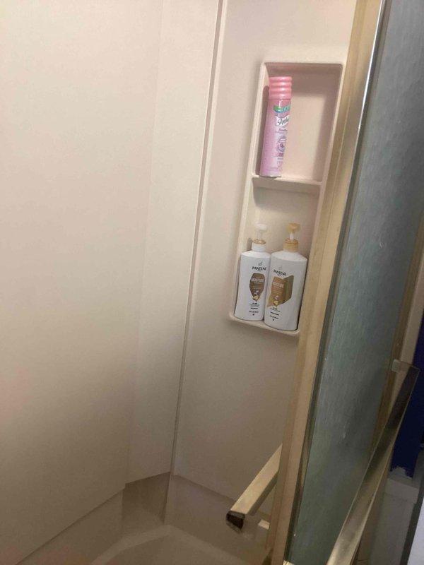Conducted site assessment of existing shower installation to provide estimate for completion of plumbing rough-in and new shower fixture installation. Documented current condition of shower enclosure, including tile work, built-in wall niches, and existing fixtures. Customer requested specific technician for follow-up work to complete the installation.