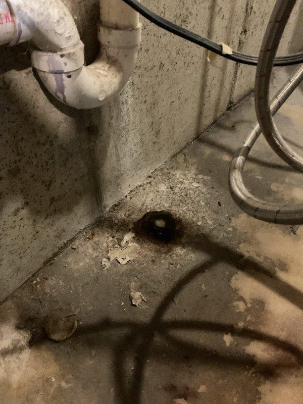 Responded to drain backup issue in finished basement near laundry area. Upon arrival, inspected plumbing system and reviewed previous camera scope findings from November that showed no blockages. Assessed exposed copper piping network, valves, and drainage connections mounted on basement walls. Examined floor drain area where dark staining and moisture were visible at wall-floor junction, indicating previous or ongoing drainage concerns. Documented existing plumbing infrastructure including PVC drainage lines and mechanical connections. Customer advised that backup issues persisted despite clear camera inspection results, suggesting potential issue with drain slope, venting, or fixture-specific problem rather than main line blockage.