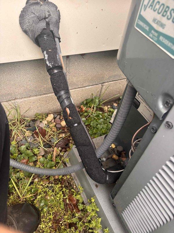 Completed annual cooling maintenance on 9-year-old Amana air conditioning system. Performed comprehensive tune-up including inspection of electrical components, contactor, and capacitor assembly. Observed significant deterioration of refrigerant line insulation with multiple areas of exposed piping requiring attention. Noted excessive vegetation growth around unit base and concrete pad that may impact airflow and system efficiency if left unaddressed.