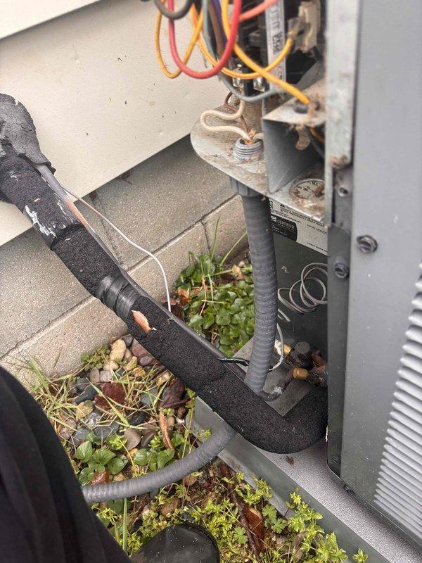 Completed annual cooling maintenance on 9-year-old Amana air conditioning system. Performed comprehensive tune-up including inspection of electrical components, contactor, and capacitor assembly. Observed significant deterioration of refrigerant line insulation with multiple areas of exposed piping requiring attention. Noted excessive vegetation growth around unit base and concrete pad that may impact airflow and system efficiency if left unaddressed.