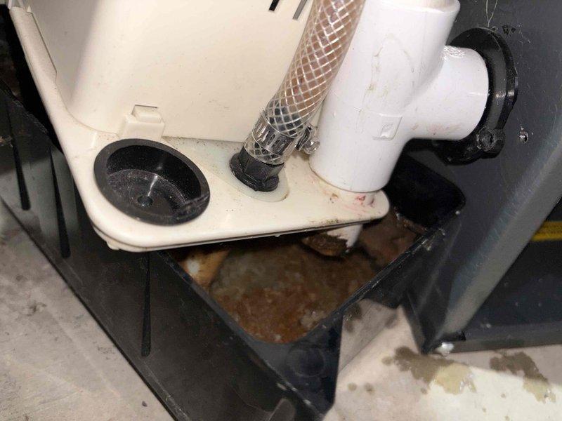 Completed annual cooling system tune-up on EnergiAir unit under 4-year warranty coverage. Inspected and serviced condensate drainage system, including cleaning of collection pan and drip tray which showed significant sediment buildup and standing water accumulation. Cleared debris from drain lines and verified proper drainage flow through PVC condensate piping to prevent overflow conditions.