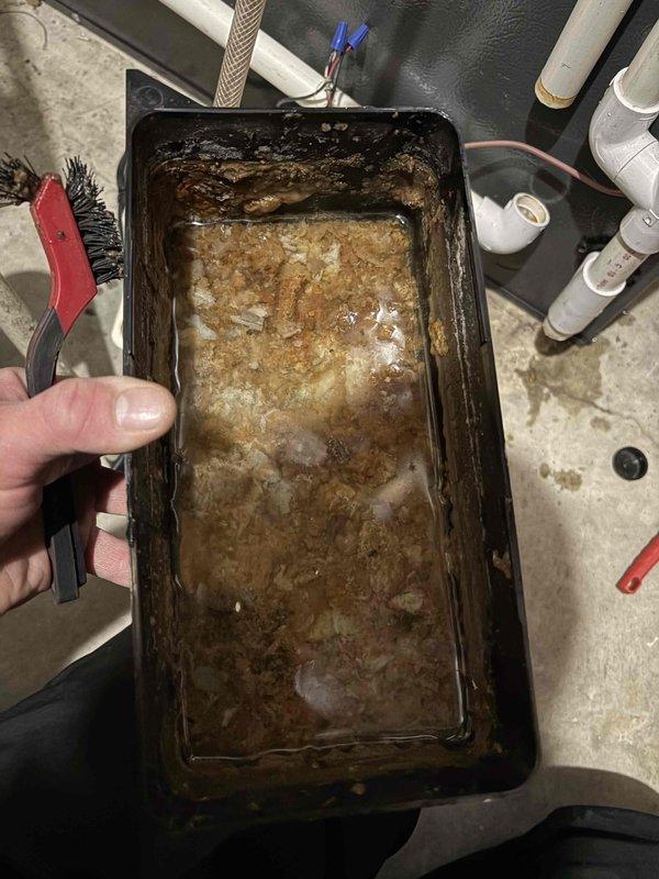 Completed annual cooling system tune-up on EnergiAir unit under 4-year warranty coverage. Inspected and serviced condensate drainage system, including cleaning of collection pan and drip tray which showed significant sediment buildup and standing water accumulation. Cleared debris from drain lines and verified proper drainage flow through PVC condensate piping to prevent overflow conditions.
