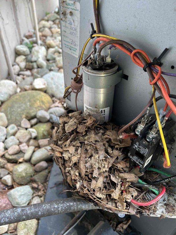 Completed comprehensive AC tune-up on 8-year-old Rheem system, including full system inspection, capacitor testing, and electrical connection verification. Removed significant accumulation of leaves and organic debris from outdoor unit that had collected around capacitor and electrical components, restoring proper airflow and eliminating potential fire hazard. Inspected air return vent, confirmed proper operation of all components, and verified system is operating within manufacturer specifications.