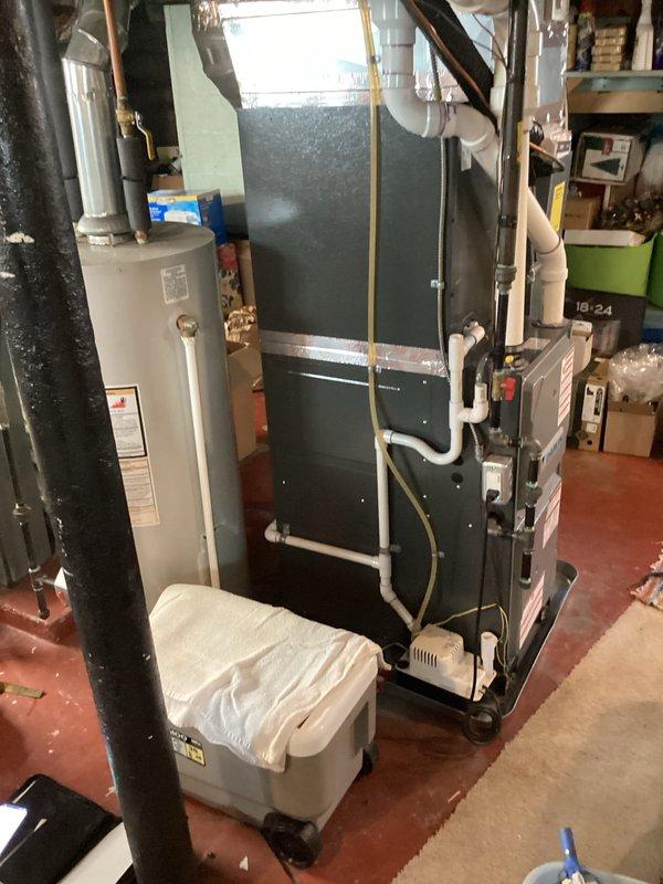 Completed estimate for replacement of twelve-year-old residential water heater located in basement mechanical room. Assessed existing cylindrical tank-style unit with overhead flue venting system, documented current installation including supply and drainage connections, gas piping, and clearances. Photographed water heater configuration alongside existing furnace and HVAC infrastructure to provide accurate replacement specifications and installation requirements.
