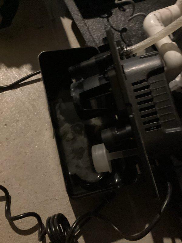 Completed annual heating and cooling maintenance visit on residential HVAC system located in attic space. Performed comprehensive tune-up on both furnace and air conditioning units, including inspection of blower assembly, air handler, and associated components. Verified proper operation of condensate pump with gloved handling during inspection, checked condensate drain line routing and security, and examined all electrical connections and mounting hardware. System tested and confirmed operational with 1-year equipment warranty extending through March 2034.