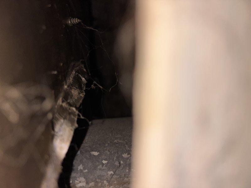 Conducted on-site assessment for water heater replacement of existing 35-year-old unit. Inspected electrical panel to verify circuit capacity and breaker configuration for new installation, documented existing electrical infrastructure and access points within wall cavity near installation area. Provided estimate for complete water heater replacement with customer-supplied equipment.