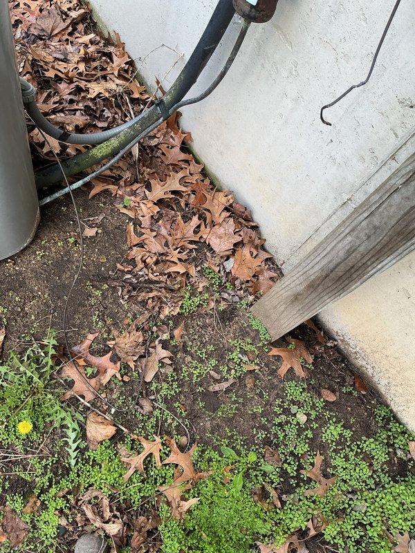# CP-Cooling Problem

Responded to no-cooling complaint on 16-year-old residential air conditioning system originally installed in 1998. Customer reported indoor fan operating normally but outdoor condensing unit failing to start. Upon arrival, performed visual inspection of outdoor unit and indoor furnace/air handler assembly. Photographed equipment condition showing Carrier furnace with associated ductwork and outdoor condensing unit location. Outdoor unit displayed significant weathering, vegetation growth, and deteriorated piping connections with visible corrosion at refrigerant line joints. System showed age-related wear consistent with equipment nearing end of expected service life. Diagnosed failed outdoor unit preventing normal cooling operation while blower motor continued functioning independently. Documented findings with photos of basement mechanical equipment and exterior condensing unit area for service records.