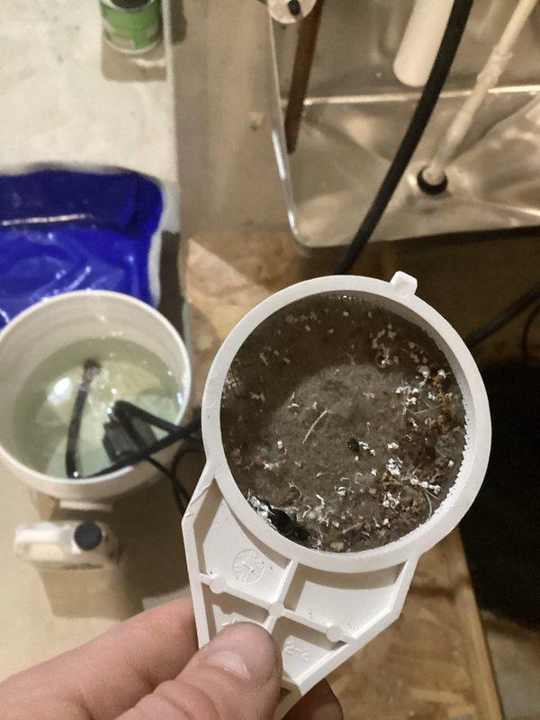Performed comprehensive annual tune-up and flush service on a 4-year-old Navien tankless water heater. Removed and cleaned inlet filter, which contained significant sediment accumulation and discolored debris, then performed complete system flush to remove scale buildup and restore optimal flow rates. Inspected condensate collection pan and drainage system, verified proper operation of all components, and confirmed unit returned to manufacturer specifications.