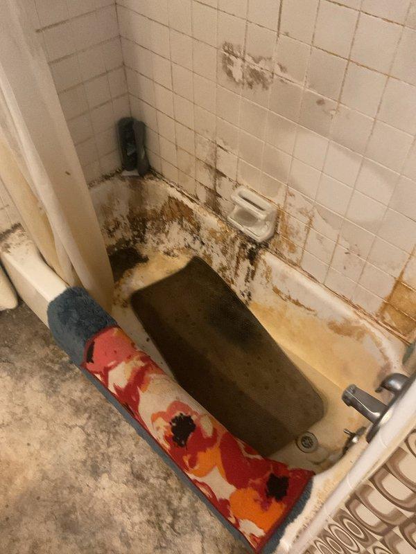 Conducted on-site assessment and documented severe bathroom deterioration involving extensive mold and mildew contamination throughout bathtub enclosure. Photographed standing water accumulation, significant biological growth covering tile walls with brown and black discoloration patterns, and deteriorated grout and caulking indicating prolonged moisture damage and maintenance neglect requiring comprehensive remediation estimate.