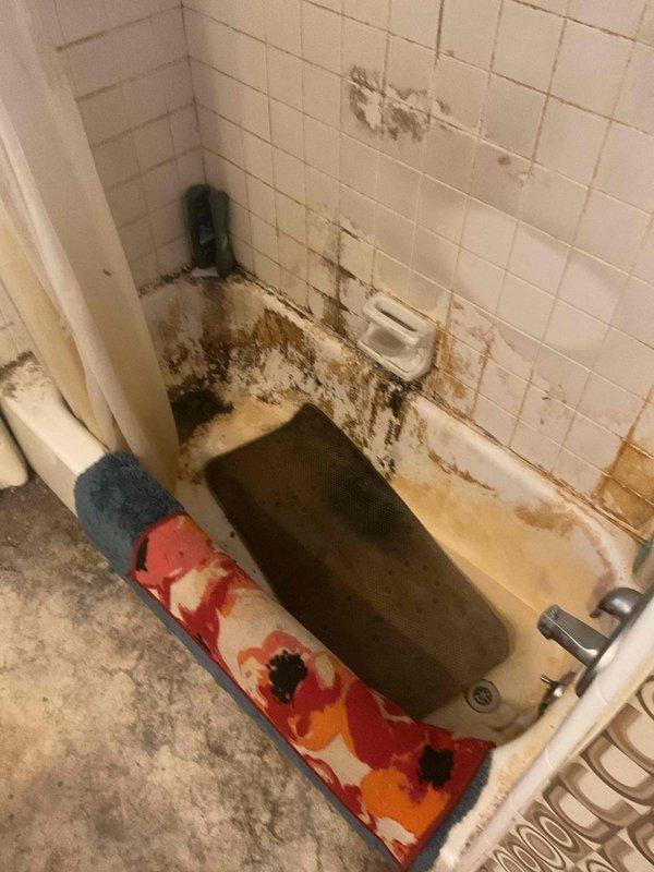 Conducted on-site assessment and documented severe bathroom deterioration involving extensive mold and mildew contamination throughout bathtub enclosure. Photographed standing water accumulation, significant biological growth covering tile walls with brown and black discoloration patterns, and deteriorated grout and caulking indicating prolonged moisture damage and maintenance neglect requiring comprehensive remediation estimate.