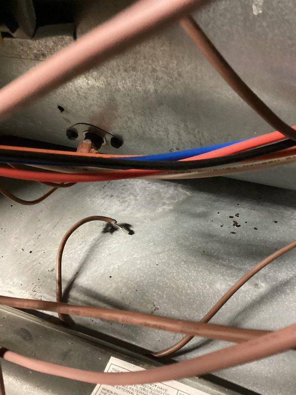 Responded to no heat callback following recent igniter replacement. Upon arrival, confirmed unit attempting ignition sequence but failing to establish flame. Customer reported observing sparks in inducer compartment area. Inspection revealed evidence of electrical arcing and burn damage on interior cabinet surfaces near igniter assembly. Found improper igniter installation or positioning causing spark discharge to ground on metal housing rather than establishing proper flame at burners. Corrected igniter alignment and secured mounting to manufacturer specifications. Verified proper clearances from cabinet surfaces and grounding points. Cycled unit through multiple heating calls to confirm proper ignition sequence without arcing. System now operating normally with consistent flame establishment and no evidence of electrical discharge.