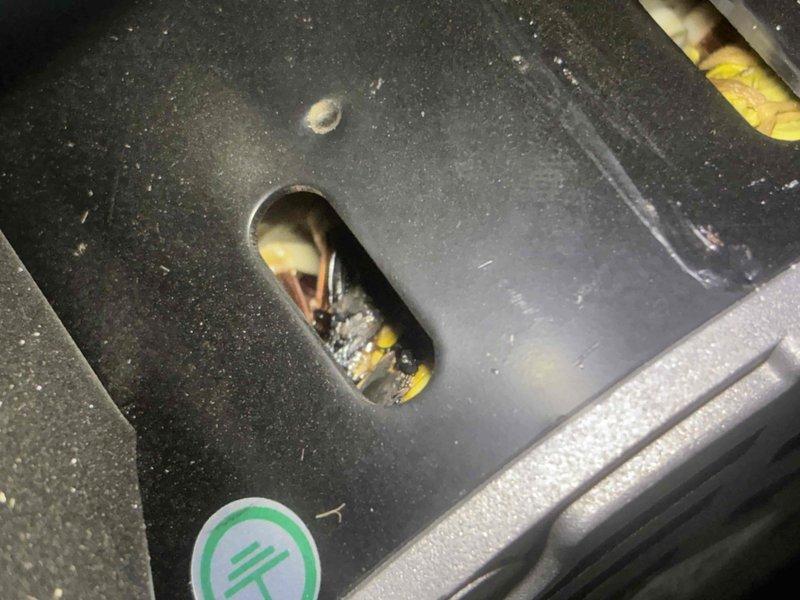 Responded to no heat callback following recent igniter replacement. Upon arrival, confirmed unit attempting ignition sequence but failing to establish flame. Customer reported observing sparks in inducer compartment area. Inspection revealed evidence of electrical arcing and burn damage on interior cabinet surfaces near igniter assembly. Found improper igniter installation or positioning causing spark discharge to ground on metal housing rather than establishing proper flame at burners. Corrected igniter alignment and secured mounting to manufacturer specifications. Verified proper clearances from cabinet surfaces and grounding points. Cycled unit through multiple heating calls to confirm proper ignition sequence without arcing. System now operating normally with consistent flame establishment and no evidence of electrical discharge.