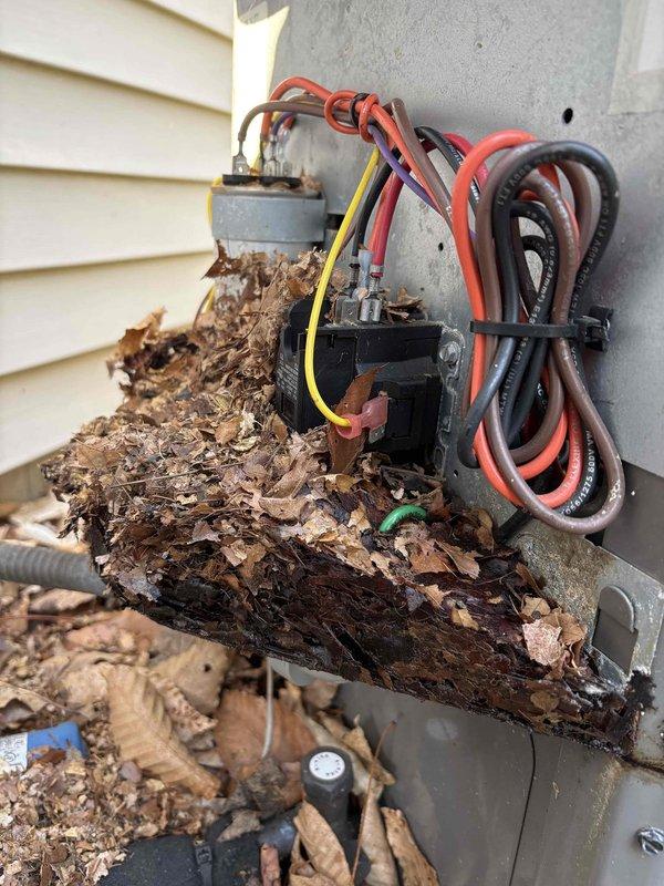 # Annual Cooling System Maintenance - 9-Year-Old Unit

Performed comprehensive annual cooling maintenance on a 9-year-old air conditioning system. Upon arrival, discovered significant accumulation of organic debris including leaves, wood chips, and decomposed plant material surrounding and covering the outdoor unit's electrical components. Removed extensive buildup from capacitor, contactor, and terminal connections to prevent potential electrical failures and fire hazards.

During inspection, identified active pest infestation with cockroaches and insect debris throughout the electrical compartment. Cleared dead insects, droppings, and contamination from contactor assembly, wiring connections, and interior panel surfaces. Cleaned all affected electrical components to restore proper operation and prevent future electrical shorts or component damage.

Inspected all wire connections including red, black, yellow, and ground wires for damage from debris accumulation and pest activity. Veri