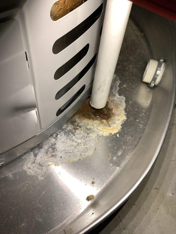 Completed annual ASTU-AC Super Tune-up on 27-year-old Bryant HVAC system. Performed comprehensive inspection of furnace and air handler components, verified proper operation of all safety controls, checked electrical connections, and tested system performance. Observed condensate drain pan showing mineral deposits and biological growth accumulation; cleaned drain line and pan, ensured proper drainage function. Inspected ductwork routing, water heater connections, and gas line installations in mechanical room. All equipment operating within normal parameters following maintenance completion.