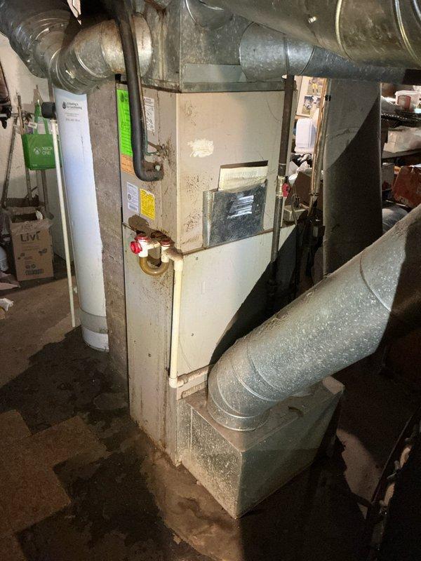 Conducted on-site estimate for air conditioning system and water heater replacement in residential property. Evaluated existing HVAC furnace unit with connected ductwork system and aging cylindrical water heater in basement mechanical room. Documented current equipment conditions through photographic assessment and discussed replacement options with tenant, coordinating availability for technical consultation via phone regarding AC and water heater upgrade specifications.