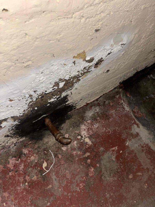 Conducted comprehensive plumbing project assessment documenting significant water damage and deterioration in utility area. Photographed corroded pipe fittings at wall-floor junction showing advanced rust and corrosion requiring replacement, along with extensive moisture damage to wall surfaces with paint failure and substrate exposure. Evaluated existing water heater installation in basement area with exposed joists, documenting current PVC drainage configuration, venting systems, and mechanical equipment layout to prepare detailed estimate for necessary plumbing repairs and potential water heater replacement considerations.