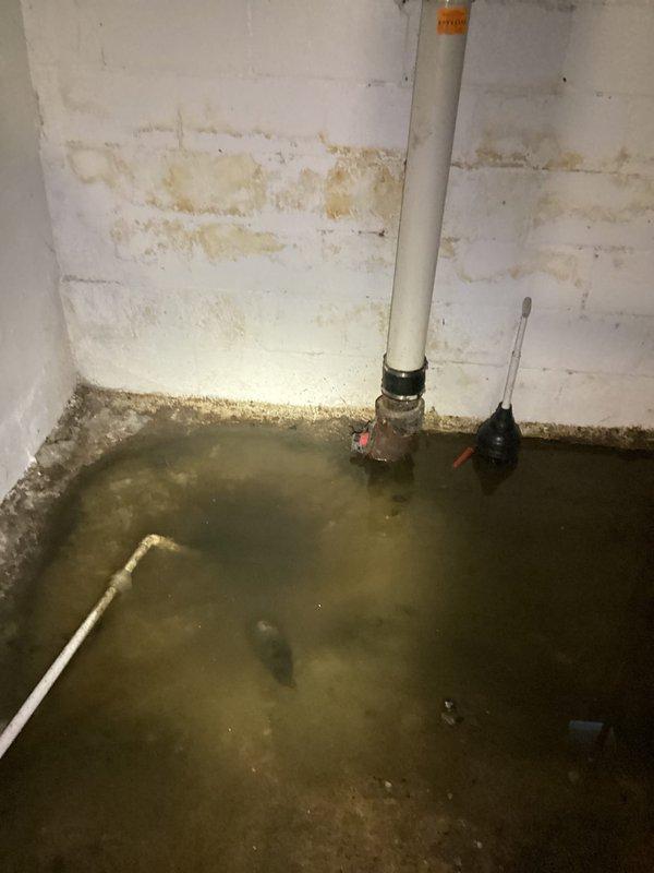 Responded to main sewer line blockage affecting entire residential plumbing system in century-old home. Upon arrival, found extensive basement flooding with standing water throughout utility area, indicating sewage backup from clogged main line. Successfully cleared obstruction using professional drain cleaning equipment, restoring full flow to main sewer line and eliminating backup condition. Documented pre-existing water damage to basement walls and floor, noting moisture staining and deterioration of painted concrete block surfaces. Verified proper drainage function of vertical PVC stack and tested system operation post-clearing. All fixtures returned to normal operation following main line clearance.